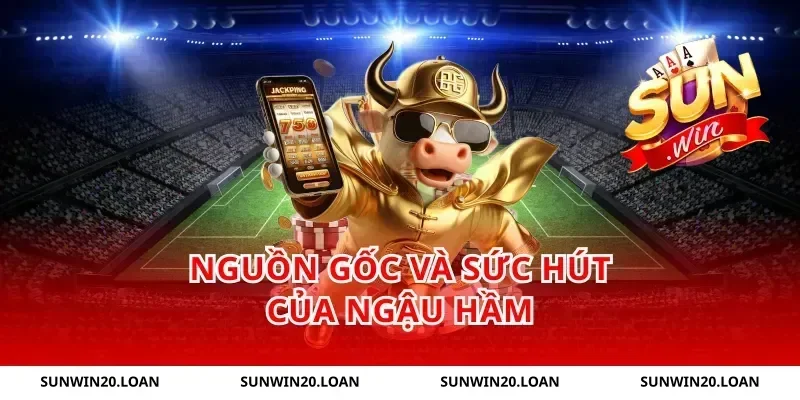 Nguồn Gốc và Sức Hút của Ngậu Hầm