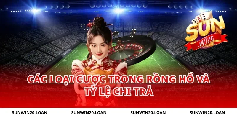 Các loại cược trong Rồng Hổ và tỷ lệ chi trả