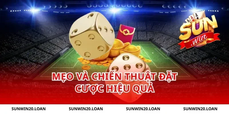 Mẹo và chiến thuật đặt cược hiệu quả