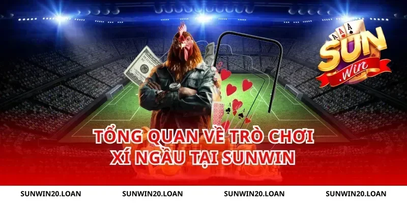 Tổng Quan Về Trò Chơi Xí Ngầu Tại Sunwin