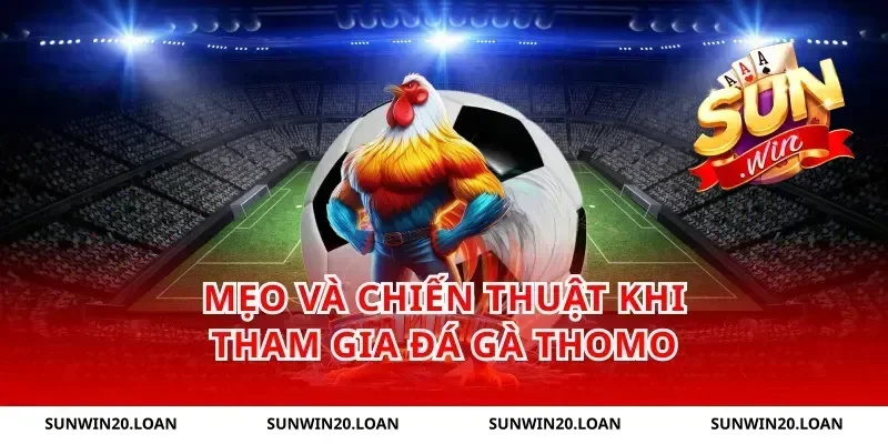 Mẹo và chiến thuật khi tham gia đá gà thomo