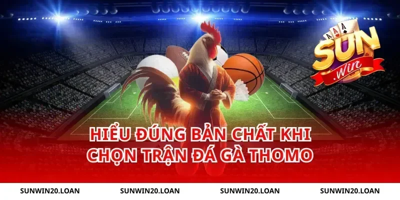 Hiểu đúng bản chất khi chọn trận đá gà thomo