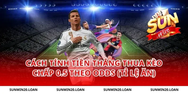 Cách tính tiền thắng thua kèo chấp 0.5 theo odds (tỉ lệ ăn)