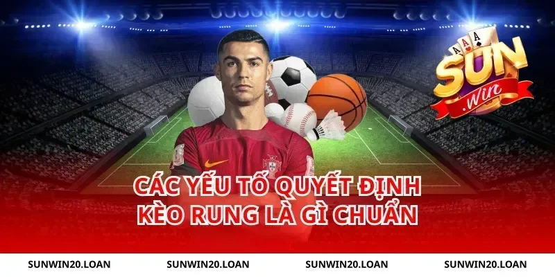Các yếu tố quyết định kèo rung là gì chuẩn