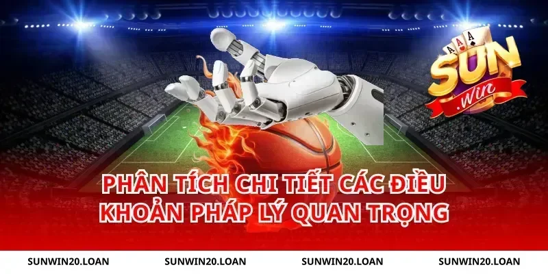 Phân Tích Chi Tiết Các Điều Khoản Pháp Lý Quan Trọng