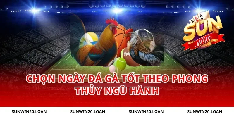 Chọn Ngày Đá Gà Tốt Theo Phong Thủy Ngũ Hành