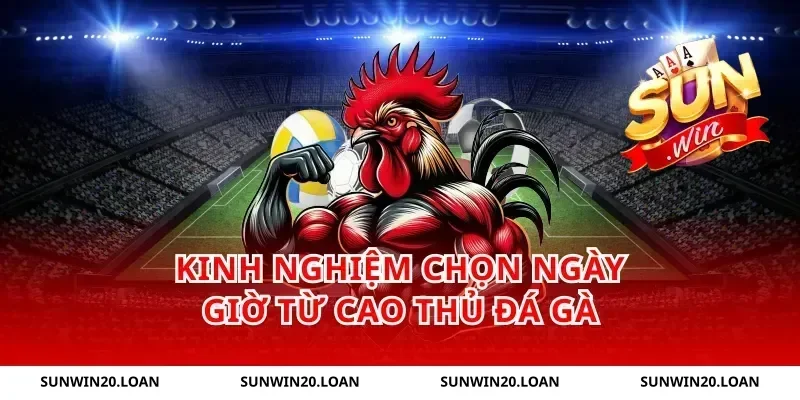 Kinh Nghiệm Chọn Ngày Giờ Từ Cao Thủ Đá Gà