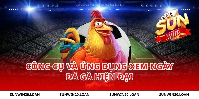 Công Cụ Và Ứng Dụng Xem Ngày Đá Gà Hiện Đại