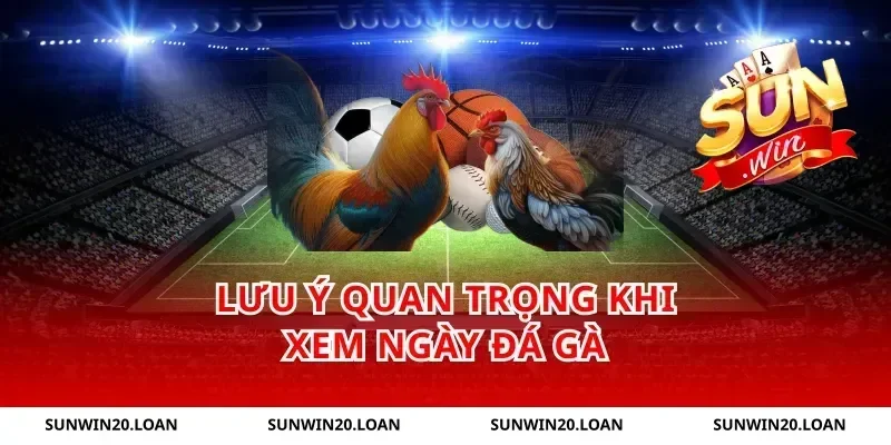 Lưu Ý Quan Trọng Khi Xem Ngày Đá Gà