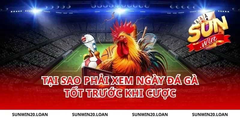 Tại Sao Phải Xem Ngày Đá Gà Tốt Trước Khi Cược